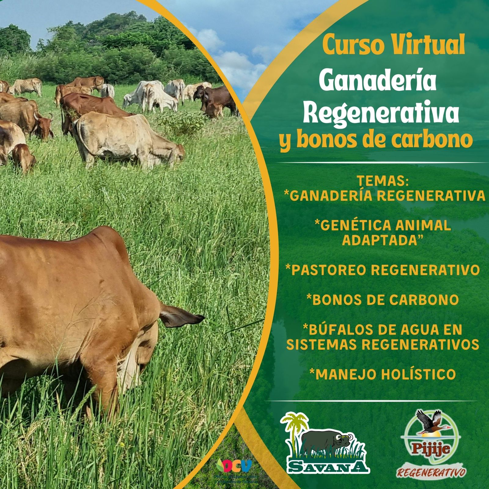 Curso-Taller Ganadería Regenerativa y bonos de carbono